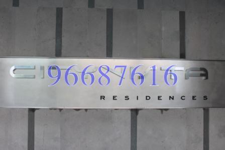 CityVista Residences (D9), Condominium #163097692